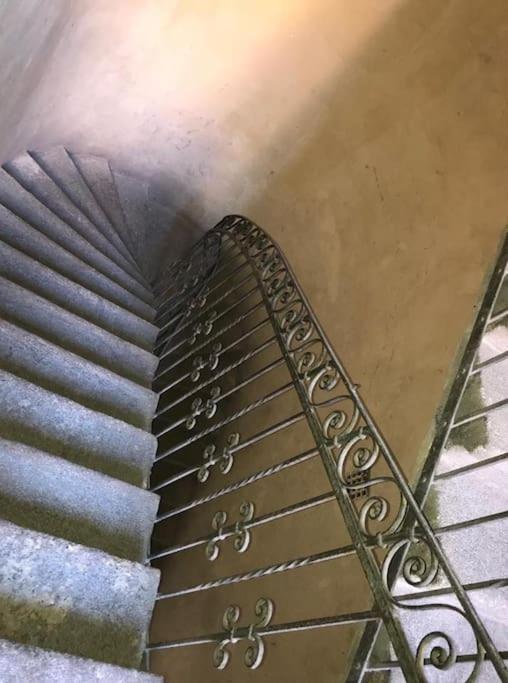 Appartement Csengery *